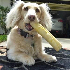 Meet your Posher, Susan